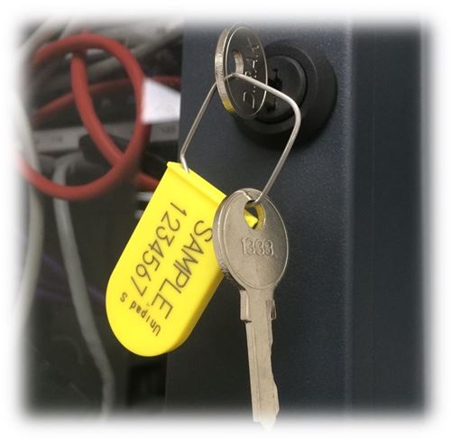 Picture for category Security Padlock Seals